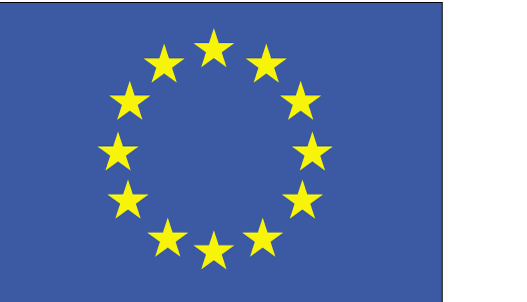 European Union flag European Union flag