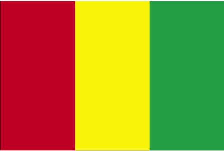 Guinea flag Guinea flag
