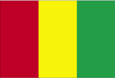 Guinea flag