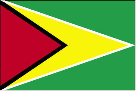 Guyana flag Guyana flag