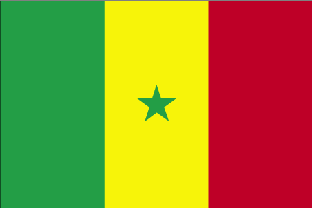 Senegal flag Senegal flag