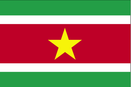 Suriname flag Suriname flag