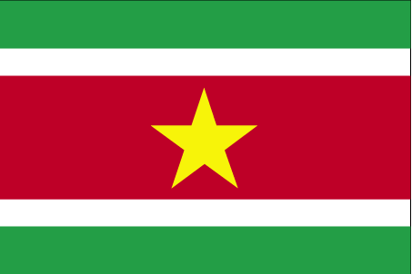 Suriname flag