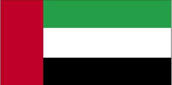 United Arab Emirates flag United Arab Emirates flag