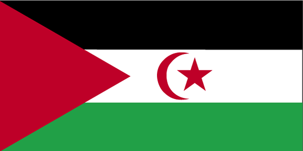 Western Sahara flag Western Sahara flag