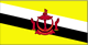 Brunei flag