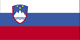 Slovenia flag